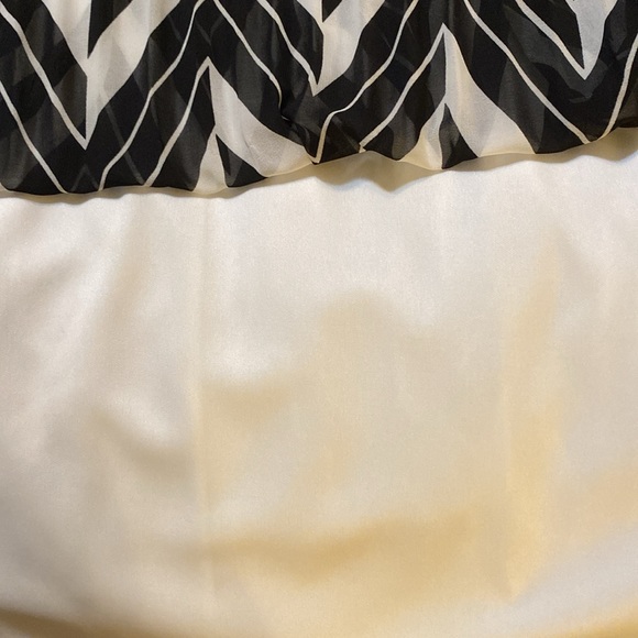 NWOT Sheer Overlay Skirt Size Large - Picture 4 of 5